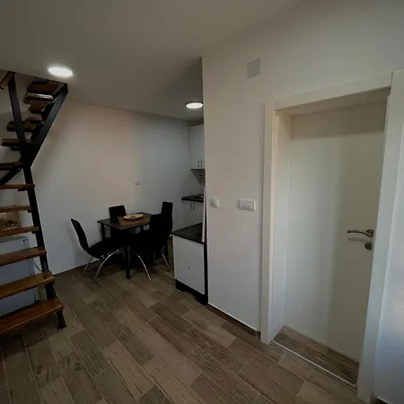 Zaovinski Cardaci 바이나 바슈타